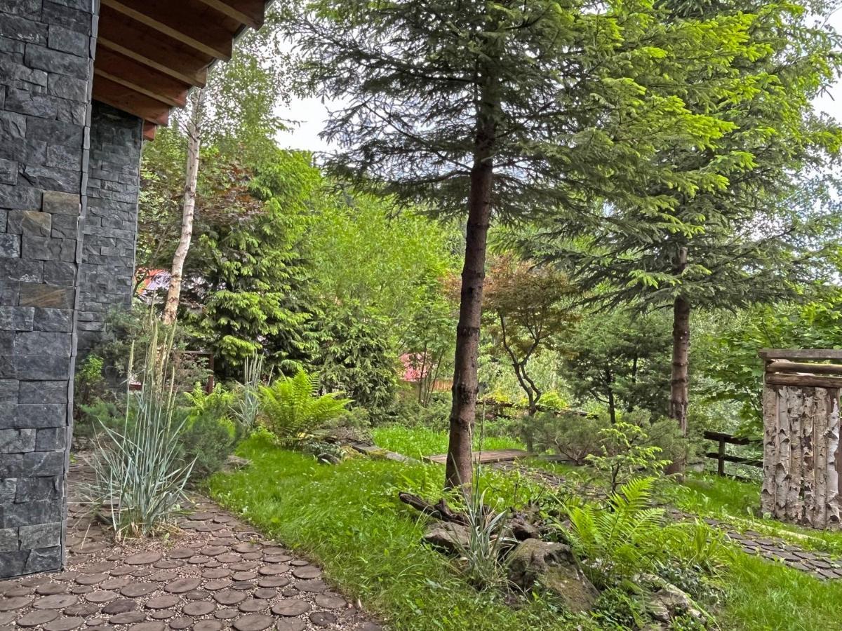 Bazalt Wellness Villa Harghita-Bai Ngoại thất bức ảnh